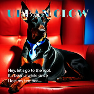 lN^C h[x} \t@   eLXg NbVJo[ 45×45cm Aj}   NbV{̕t ` t@