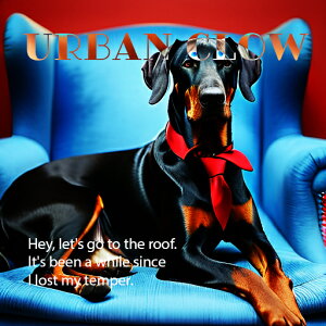 \t@ h[x} ԂlN^C p̃eLXg NbVJo[ 45×45cm Aj}   NbV{̕t ` t@