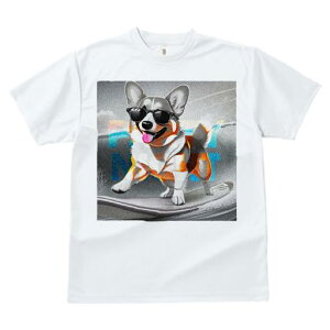 TVc Y LbY t@  t  vg JWA 킢 lԗp tBbglX _X TOX EFVR[M[ T[t{[h g