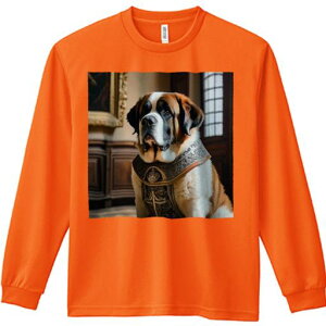 TVc lԗp Y Ht vg W[ AEghA JWA 킢 t@ Z Zgo[i[h  G Ebhpl