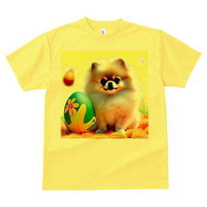 TVc Y LbY t@  t  vg JWA 킢 lԗp tBbglX _X C[X^[GbO |jA F̔wi 