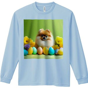 TVc lԗp Y Ht vg W[ AEghA JWA 킢 t@  |jA F ̉ ΂̔wi