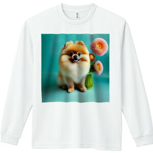 TVc lԗp Y Ht vg W[ AEghA JWA 킢 t@  |jA t[AWg Ί wi