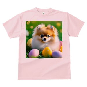 TVc Y LbY t@  t  vg JWA 킢 lԗp tBbglX _X Jtȗ |jA ΂̔wi