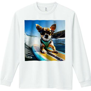 TVc lԗp Y Ht vg W[ AEghA JWA 킢 t@ T[t{[h ` TOX T[tB C