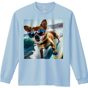 TVc lԗp Y Ht vg W[ AEghA JWA 킢 t@ TOX ` T[tB g r[`