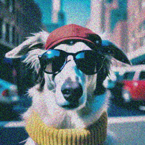 TOX ̑ ԂXq F}t[ Xwi  NbVJo[ 45×45cm Aj}   NbV{̕t ` t@