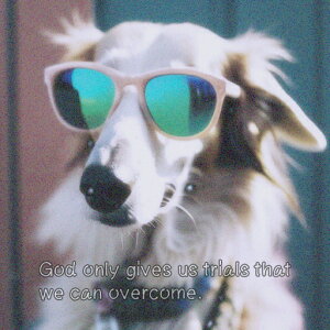 TOX {]C Kl  NbVJo[ 45×45cm Aj}   NbV{̕t ` t@