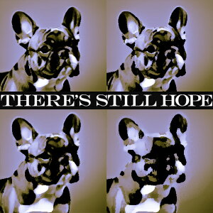 ] t`uhbO |bvA[g |X^[  g NbVJo[ 45×45cm Aj}   NbV{̕t ` t@