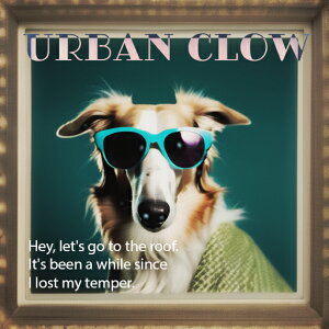 TOX {]C RfB A[gt[ NbVJo[ 45×45cm Aj}   NbV{̕t ` t@