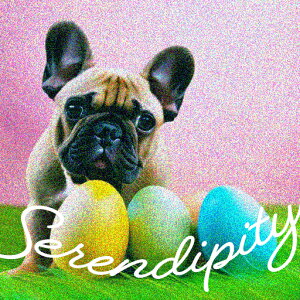  t`uhbO sN̔wi ΂̑ NbVJo[ 45×45cm Aj}   NbV{̕t ` t@