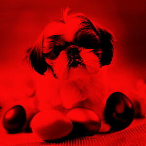 TOX V[Y[  ^I NbVJo[ 45×45cm Aj}   NbV{̕t ` t@