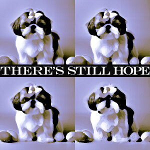 ] V[Y[ ̊ߋ lp̃R[W NbVJo[ 45×45cm Aj}   NbV{̕t ` t@