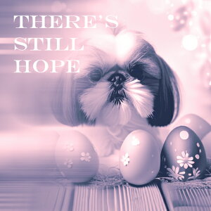 C[X^[GbO V[Y[ t[ ؐt[O NbVJo[ 45×45cm Aj}   NbV{̕t ` t@