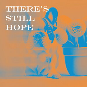  t`uhbO A NbVJo[ 45×45cm Aj}   NbV{̕t ` t@