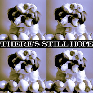 D V[Y[ bZ[W NbVJo[ 45×45cm Aj}   NbV{̕t ` t@