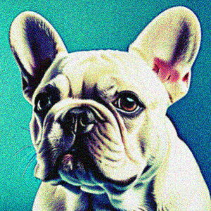 re[WX^C t`uhbO |bvA[g Jtwi A[g 킢 NbVJo[ 45×45cm Aj}   NbV{̕t ` t@