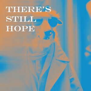 TOX ̑ R[g }t[ NbVJo[ 45×45cm Aj}   NbV{̕t ` t@