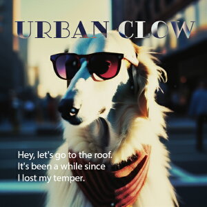 TOX T[L XJ[t s NbVJo[ 45×45cm Aj}   NbV{̕t ` t@