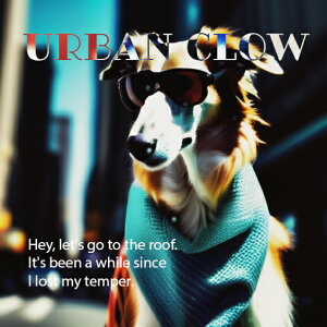 Xq ̑ TOX }t[ s̔wi NbVJo[ 45×45cm Aj}   NbV{̕t ` t@