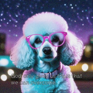 Kl v[h   NbVJo[ 45×45cm Aj}   NbV{̕t ` t@