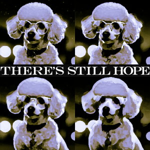 ዾ v[h ] ZsA |bvA[gX^C NbVJo[ 45×45cm Aj}   NbV{̕t ` t@