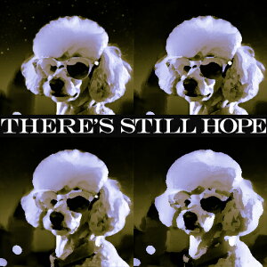 TOX v[h |bvA[g `[t Âwi NbVJo[ 45×45cm Aj}   NbV{̕t ` t@