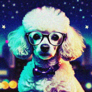 Kl v[h  {E^C  VeBCg NbVJo[ 45×45cm Aj}   NbV{̕t ` t@