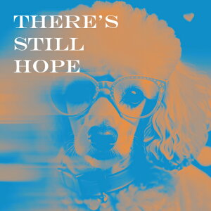 Kl v[h n[g NbVJo[ 45×45cm Aj}   NbV{̕t ` t@