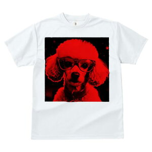 TVc Y LbY t@  t  vg JWA 킢 lԗp tBbglX _X Kl v[h 