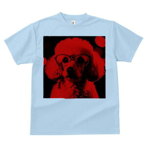 TVc Y LbY t@  t  vg JWA 킢 lԗp tBbglX _X Kl v[h ԐF̌