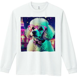 TVc lԗp Y Ht vg W[ AEghA JWA 킢 t@ Kl v[h lN^C   