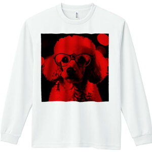 TVc lԗp Y Ht vg W[ AEghA JWA 킢 t@ Kl v[h ԐF̌