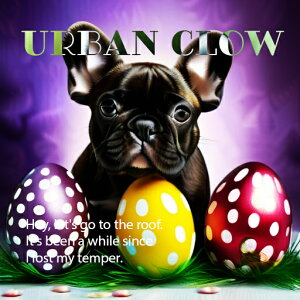 Jtȗ t`uhbO F̔wi ΂̑ NbVJo[ 45×45cm Aj}   NbV{̕t ` t@