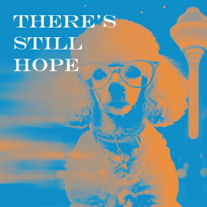 Kl v[h    NbVJo[ 45×45cm Aj}   NbV{̕t ` t@