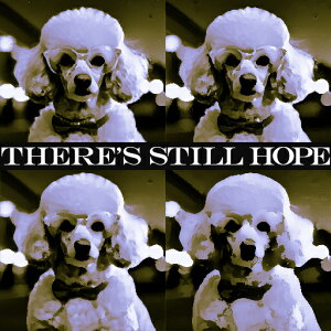 ዾ v[h eLXg t[ |bvA[g NbVJo[ 45×45cm Aj}   NbV{̕t ` t@