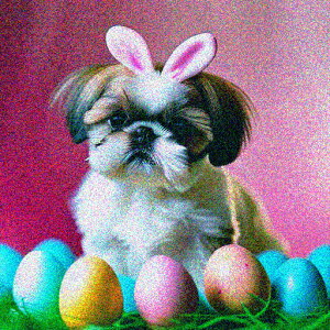 ̎ V[Y[ Jtȗ sN̔wi NbVJo[ 45×45cm Aj}   NbV{̕t ` t@