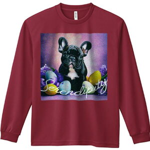 長袖Tシャツ 人間用 メンズ 秋春夏 プリント レジャー アウトドア カジュアル かわいい 犬ファン イースターエッグ フレンチブルドッグ 花 文字