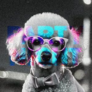 p[eB[ v[h Kl lN^C NbVJo[ 45×45cm Aj}   NbV{̕t ` t@