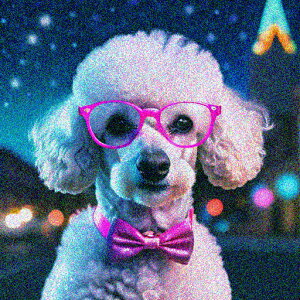 Kl v[h lN^C   NbVJo[ 45×45cm Aj}   NbV{̕t ` t@