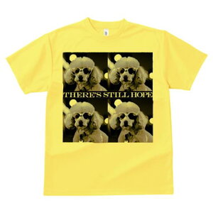 TVc Y LbY t@  t  vg JWA 킢 lԗp tBbglX _X TOX v[h ؎蕗 