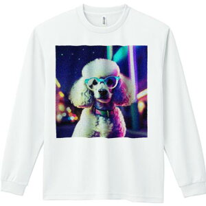 TVc lԗp Y Ht vg W[ AEghA JWA 킢 t@ Kl v[h lI 