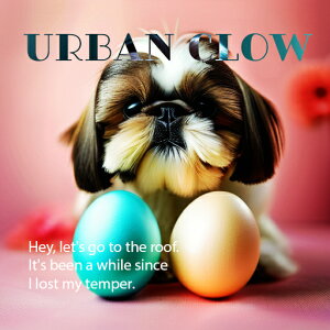 �� �V�[�Y�[ �s���N�̔w�i �N�b�V�����J�o�[ 45×45cm �A�j�}���� ������� ���� �N�b�V�����{�̕t�� �����` ���t�@��