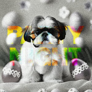 C[X^[GbO V[Y[ p[eB[  NbVJo[ 45×45cm Aj}   NbV{̕t ` t@