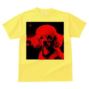 TVc Y LbY t@  t  vg JWA 킢 lԗp tBbglX _X Kl v[h 