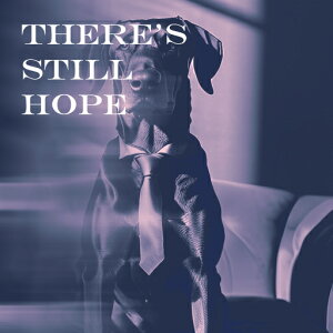 lN^C ̑ \t@ ] CXs[V t NbVJo[ 45×45cm Aj}   NbV{̕t ` t@