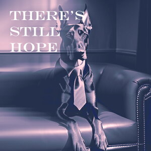 \t@ O[gf[ lN^C NbVJo[ 45×45cm Aj}   NbV{̕t ` t@