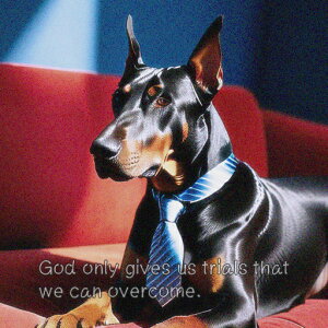 lN^C h[x} \t@ NbVJo[ 45×45cm Aj}   NbV{̕t ` t@