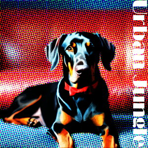 \t@ h[x}   A[gX^C NbVJo[ 45×45cm Aj}   NbV{̕t ` t@