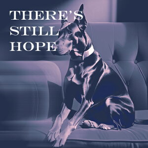 \t@ h[x} ̎ eLXg NbVJo[ 45×45cm Aj}   NbV{̕t ` t@